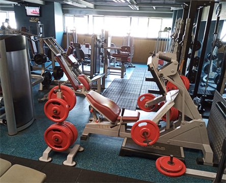 Star-fitness-musculation