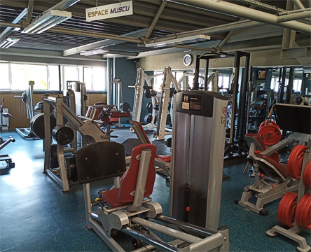 star-fitness