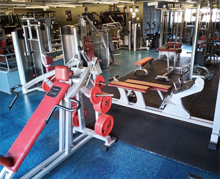 training star fitness